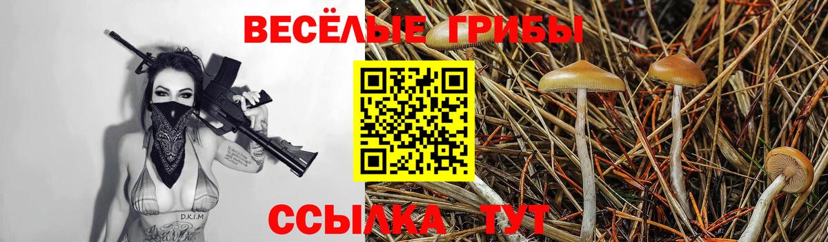 Псилоцибиновые грибы Cubensis Ижевск