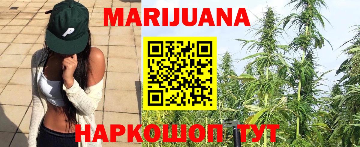 Марихуана планчик  МАРИХУАНА гибрид  Вход с VPN  Бошки марихуана THC 21%  МАРИХУАНА THC 21%  Ижевск 